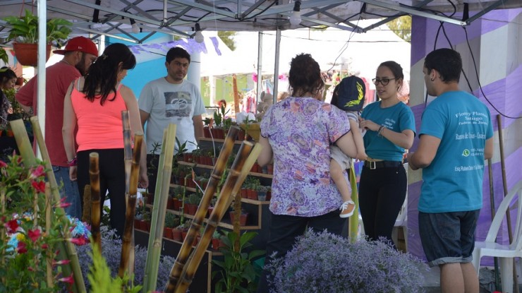 Varela palpita la llegada de la primavera con literatura, flores, música y fe